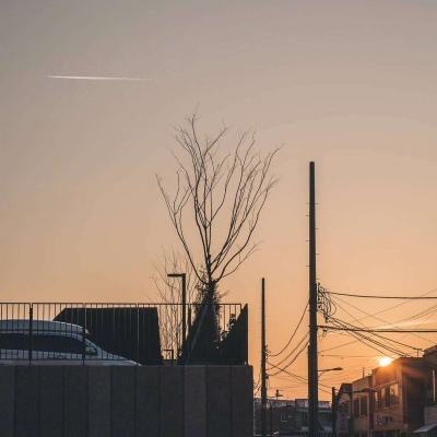 米乐网手机app下载